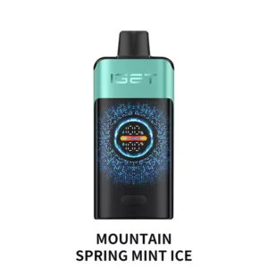 IGET ONE 12000 Puffs – Mountain Spring Mint Ice